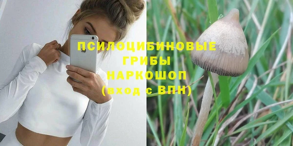 стафф Бронницы