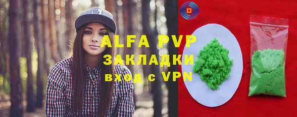 крисы Бородино