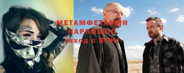крисы Бородино