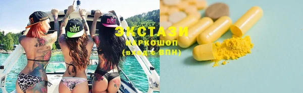 крисы Бородино
