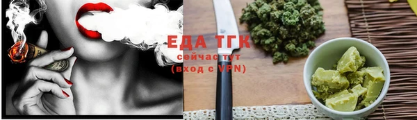 крисы Бородино
