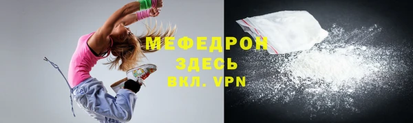 крисы Бородино