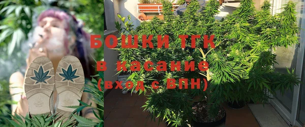 крисы Бородино