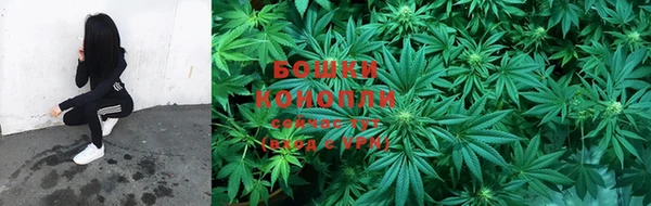стафф Бронницы