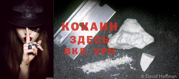 стафф Бронницы