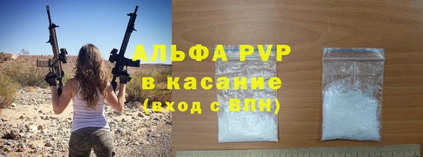 крисы Бородино